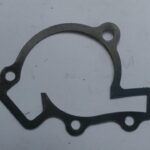 GASKET, WATER PUMP 110612088