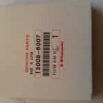 PISTON RING SET-STD 130086007