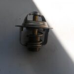THERMOSTAT 490542056