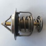 THERMOSTAT 490542058